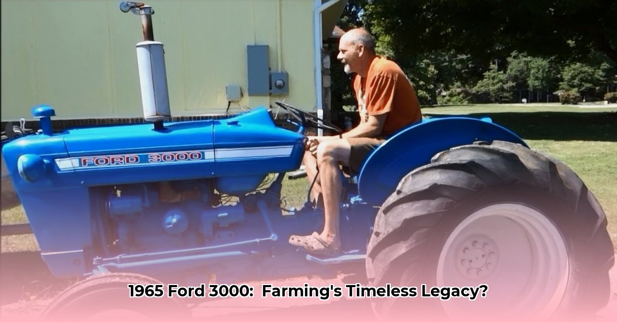 1965-ford-3000-tractor